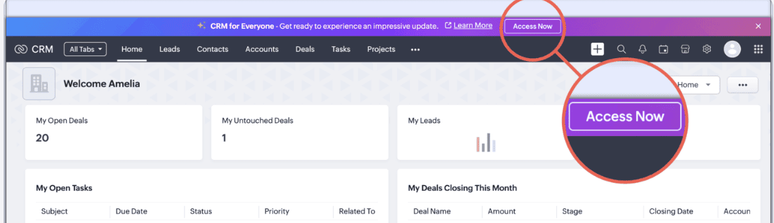 Access Zoho CRM For Everyone